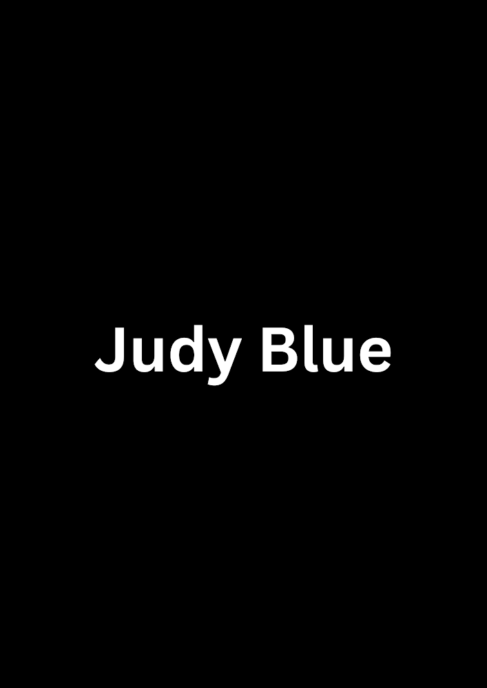Judy Blue - Zyluxe Fashion