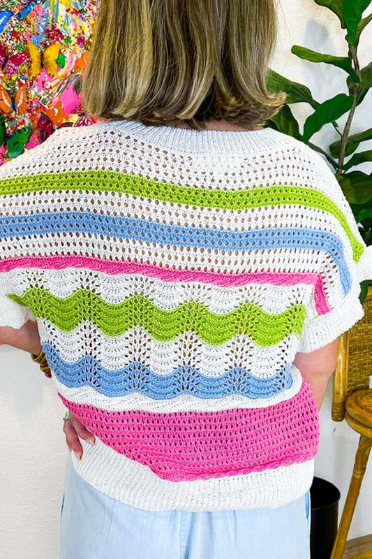 Color Block Crochet Ruffled Short Sleeve Knit Top