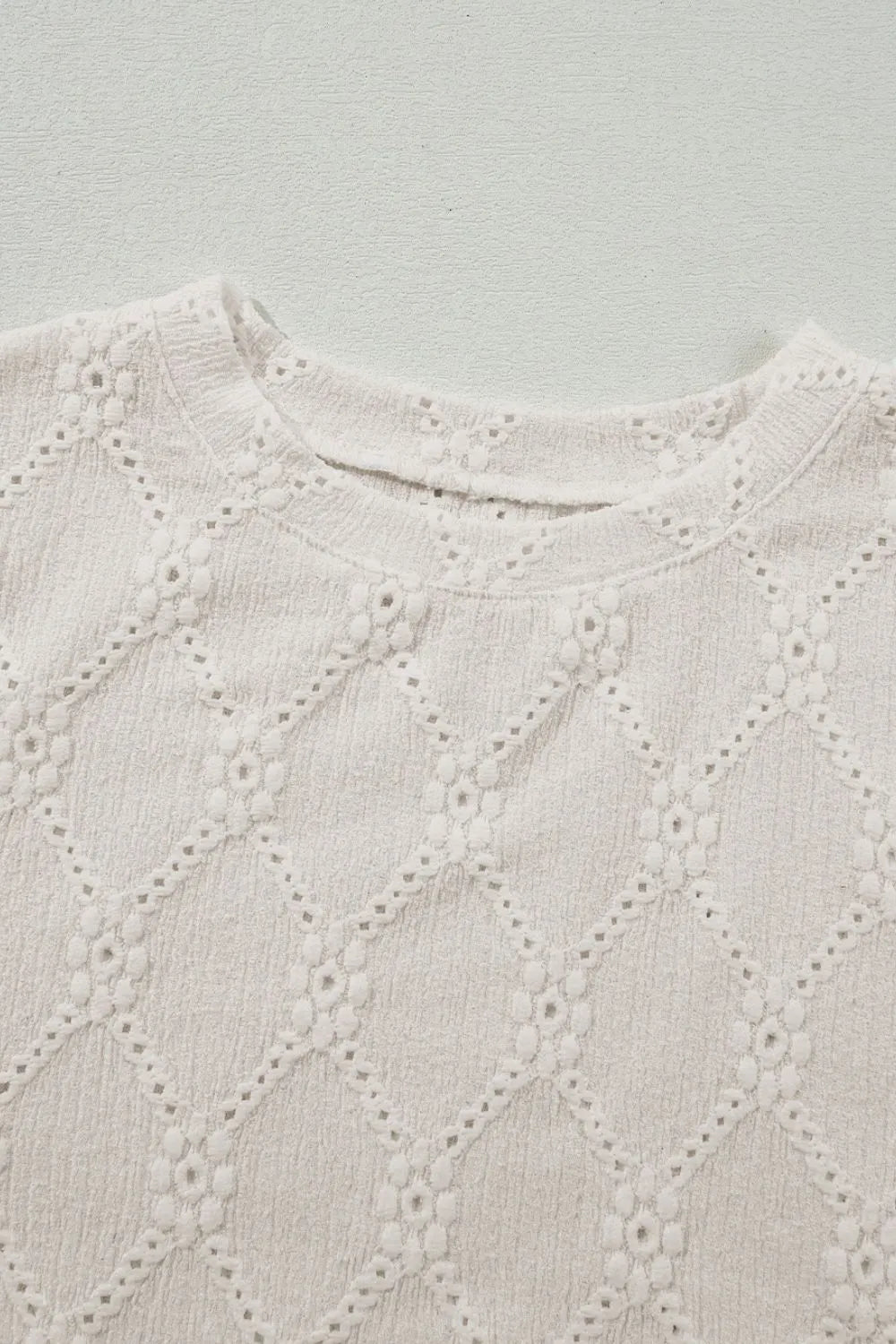 Eyelet Round Neck Short Sleeve Blouse